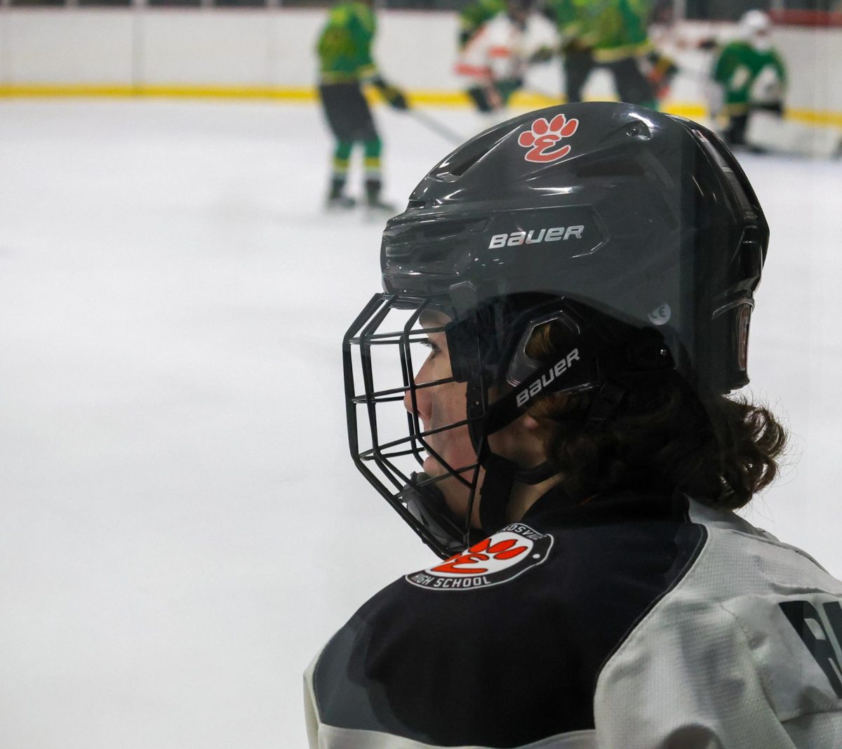 On Thin Ice: The Chilling Incident in Minor League Hockey