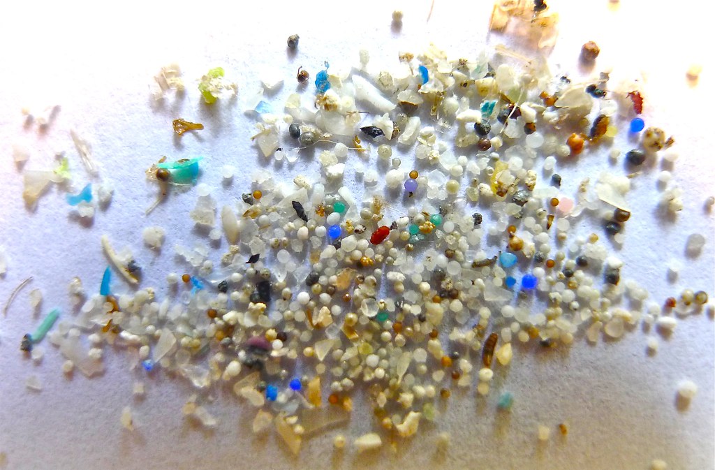 Microplastics in the Womb: A Growing Concern for Human Health