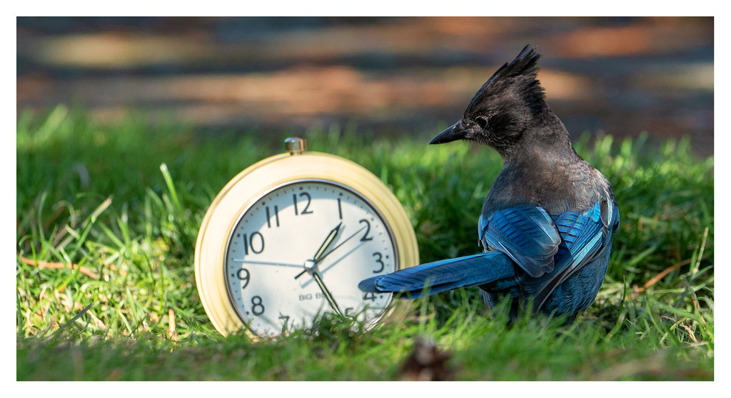 Spring Forward with Laughter: The Internet Reacts to Daylight Saving Time