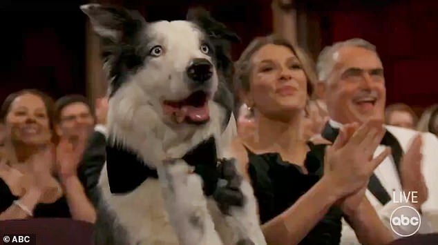 A Night of Surprises: Messi’s Hilarious Moment at the Oscars 2024