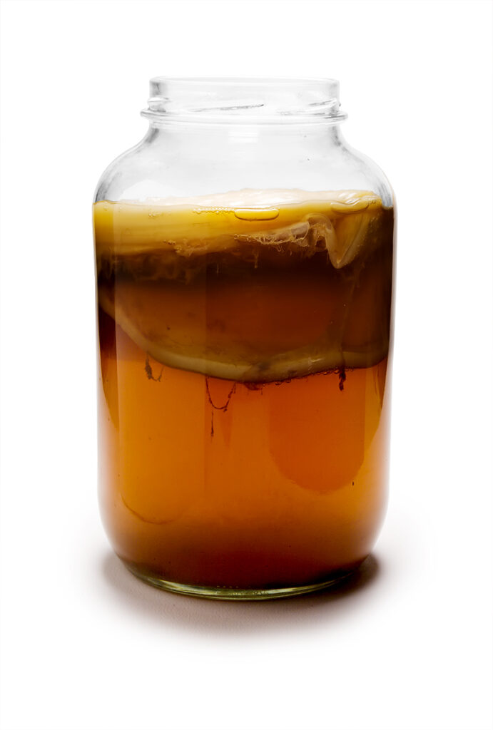 Kombucha Tea: The Fermented Miracle for Mimicking Fasting Benefits Without the Hunger