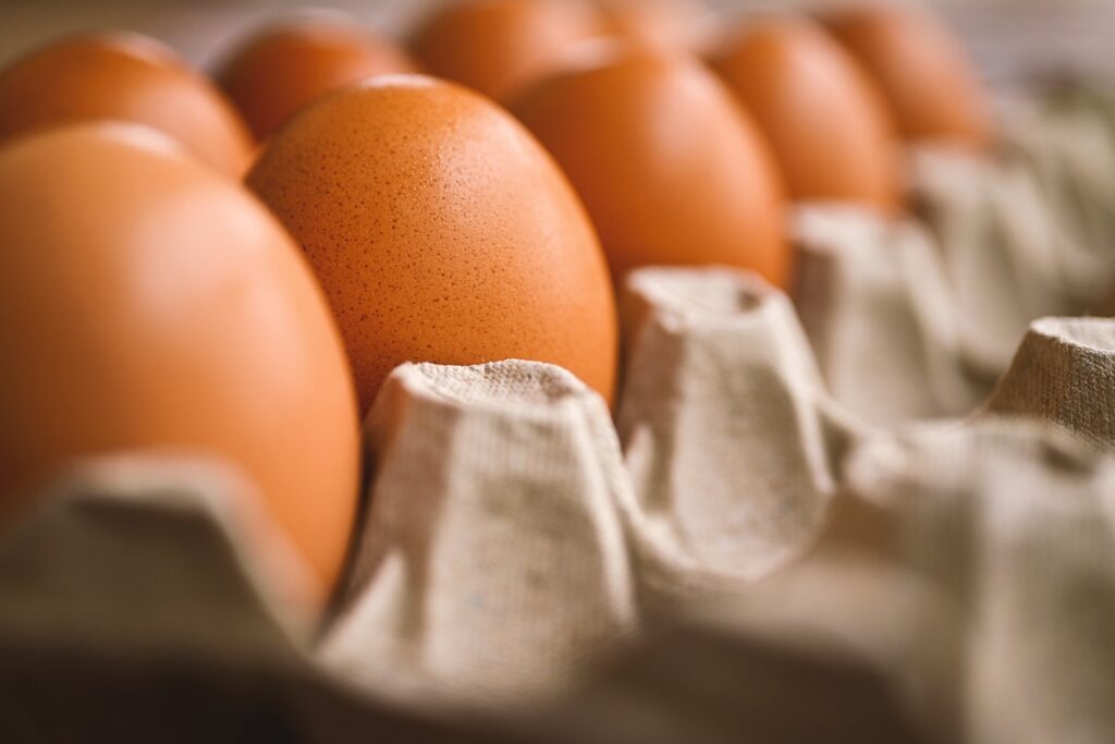 Egg Supply in Jeopardy: Largest US Egg Producer Battles Bird Flu Outbreak