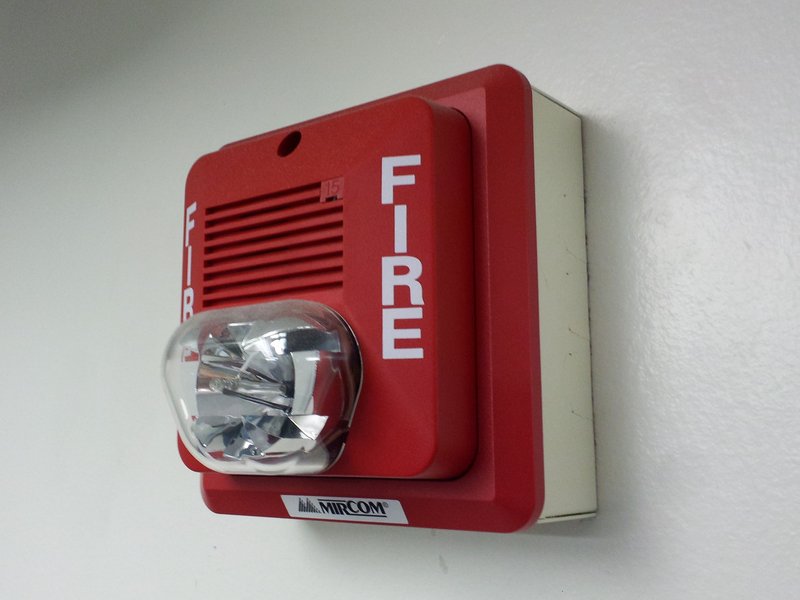 Why We Stay Cool When Fire Alarms Ring: Unpacking Human Behavior