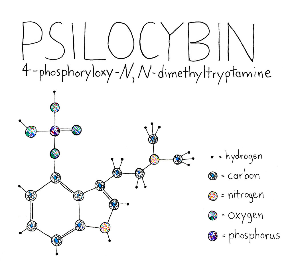 Navigating the Psyche: Unveiling the Psychological Risks of Psilocybin-Assisted Therapy