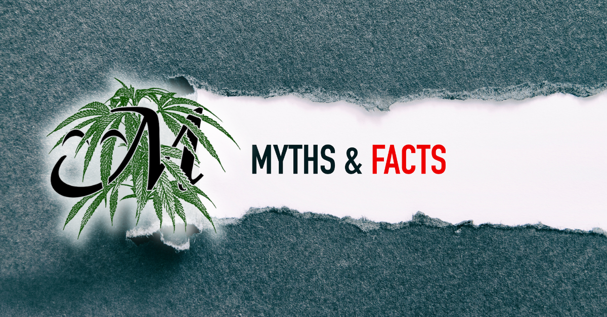 Busting Myths: The Truth About Cannabis Users’ Motivation