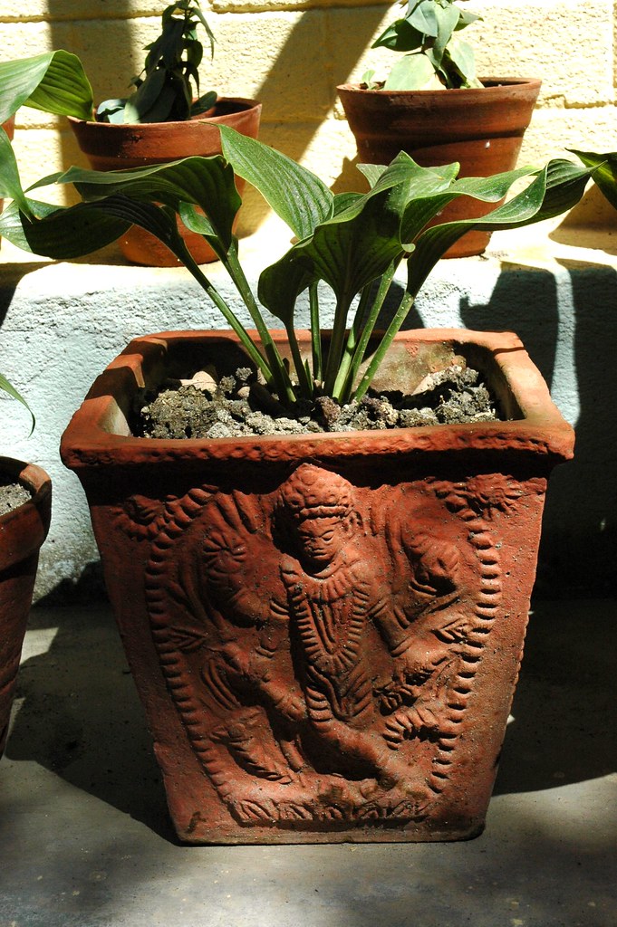 From Grandma’s Garden to Urban Chic: Reviving a Vintage Terracotta Planter