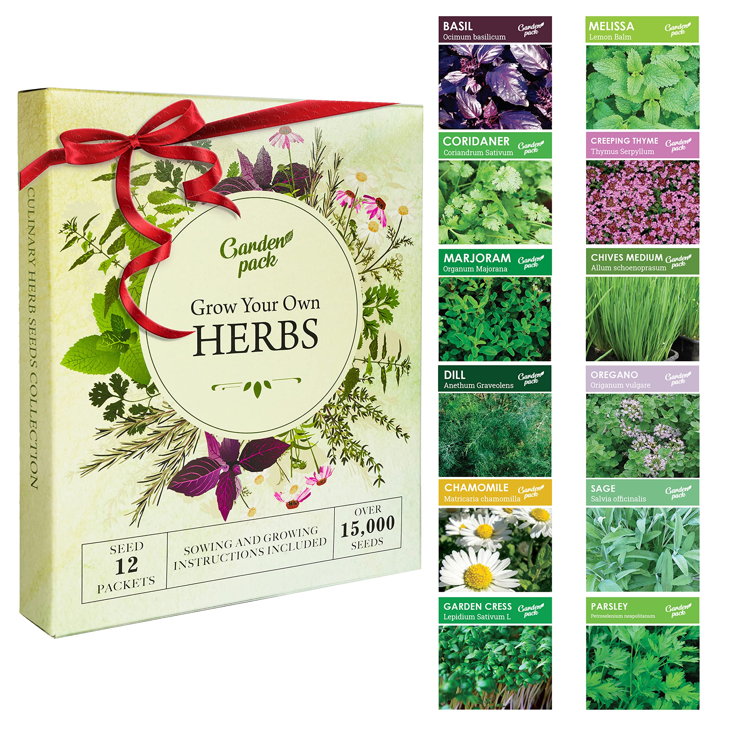 From Tiny Seeds to Lush Oregano Gardens: The Joy of Growing Your Own Herbs