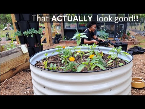 Gardening Gold: Unearth Budget-Friendly Treasures at Dollar Tree