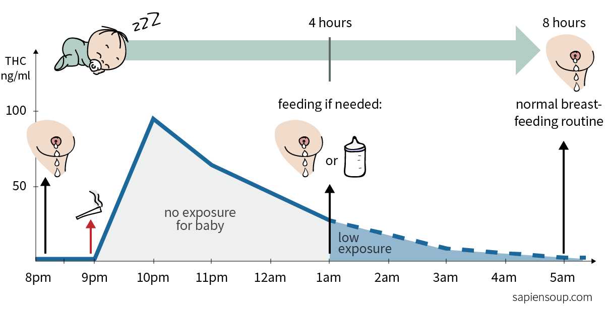 Navigating the Haze: THC in Breastmilk and Its Implications for Breastfeeding
