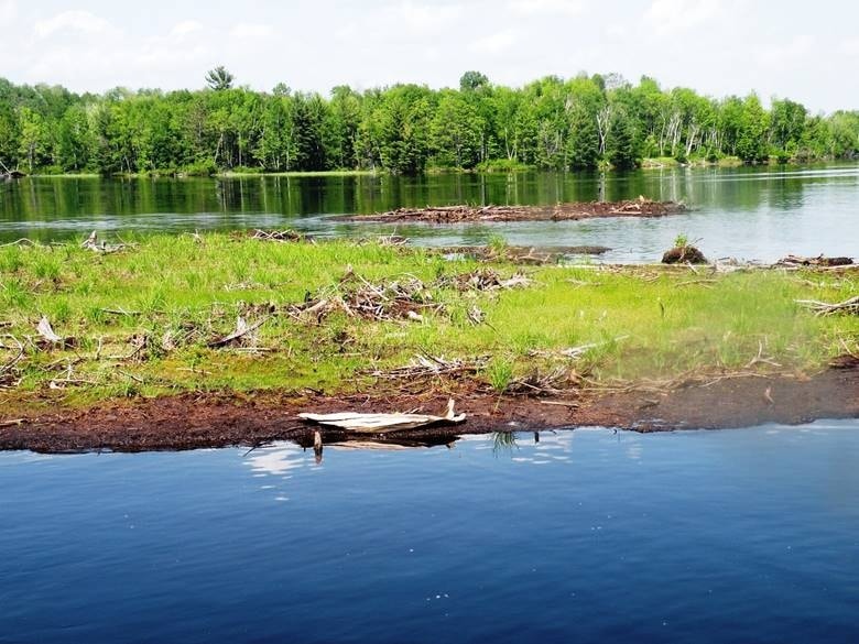 The Enigmatic Voyage of Lake Chippewa's Forty Acre Bog - HotDailys