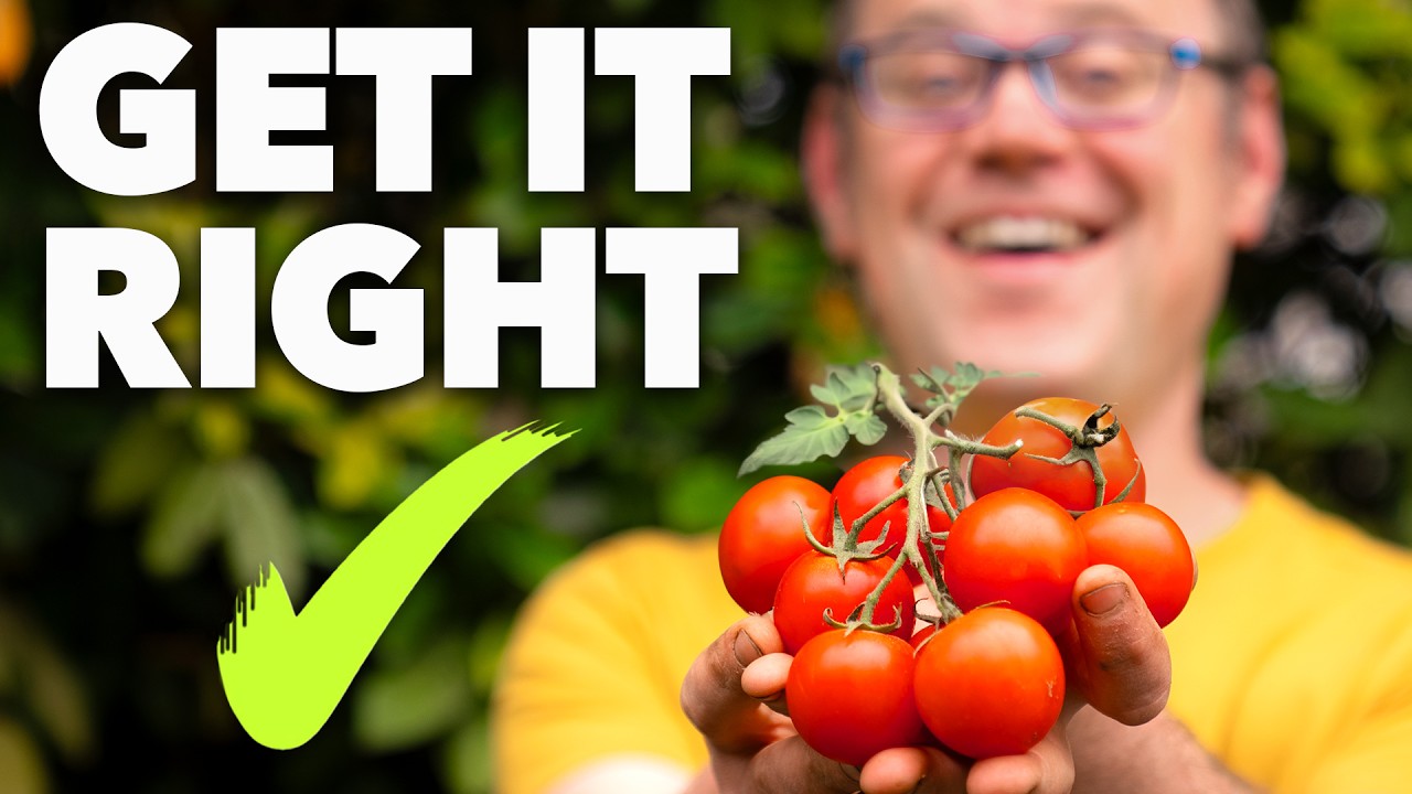 Tomato & Cucumber Timing Troubles: A Gardener’s Guide to Perfect Planting